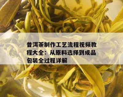 普洱茶制作工艺流程视频教程大全：从原料选择到成品包装全过程详解