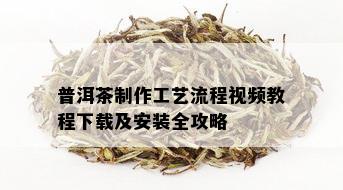 普洱茶制作工艺流程视频教程下载及安装全攻略