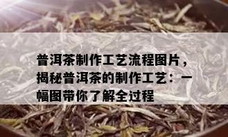 普洱茶制作工艺流程图片，揭秘普洱茶的制作工艺：一幅图带你了解全过程