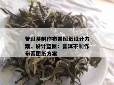 普洱茶制作布置图纸设计方案，设计蓝图：普洱茶制作布置图纸方案