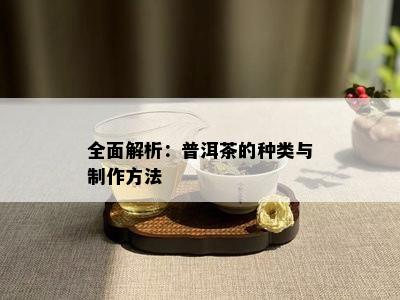 全面解析：普洱茶的种类与制作方法