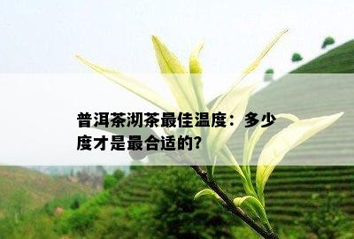 普洱茶沏茶更佳温度：多少度才是最合适的？