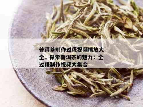 普洱茶制作过程视频播放大全，探索普洱茶的魅力：全过程制作视频大集合