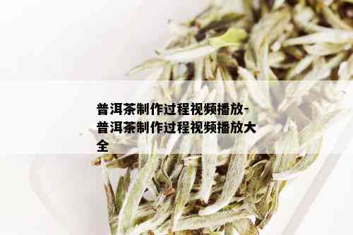 普洱茶制作过程视频播放-普洱茶制作过程视频播放大全