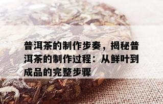 普洱茶的制作步奏，揭秘普洱茶的制作过程：从鲜叶到成品的完整步骤