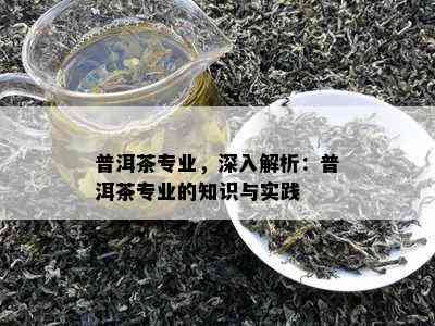 普洱茶专业，深入解析：普洱茶专业的知识与实践