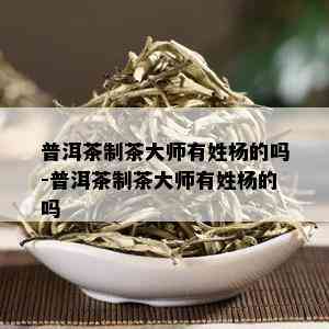 普洱茶制茶大师有姓杨的吗-普洱茶制茶大师有姓杨的吗