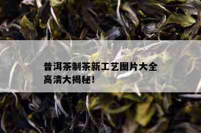 普洱茶制茶新工艺图片大全高清大揭秘！