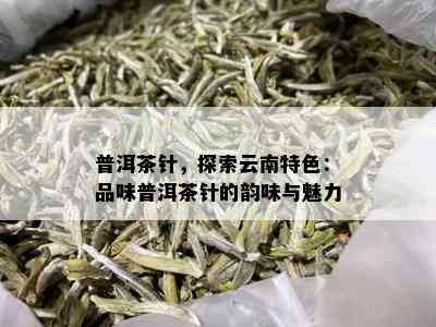 普洱茶针，探索云南特色：品味普洱茶针的韵味与魅力