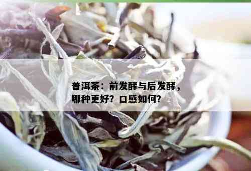 普洱茶：前发酵与后发酵，哪种更好？口感如何？