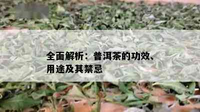 全面解析：普洱茶的功效、用途及其禁忌