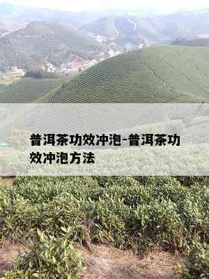 普洱茶功效冲泡-普洱茶功效冲泡方法