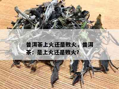 普洱茶上火还是败火，普洱茶：是上火还是败火？