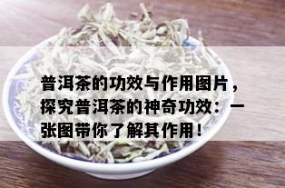 普洱茶的功效与作用图片，探究普洱茶的神奇功效：一张图带你了解其作用！