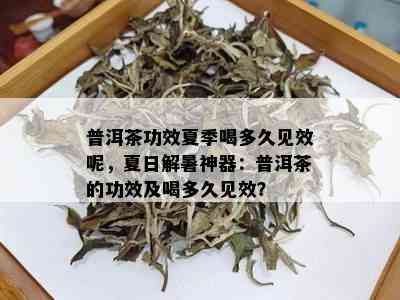 普洱茶功效夏季喝多久见效呢，夏日解暑神器：普洱茶的功效及喝多久见效？