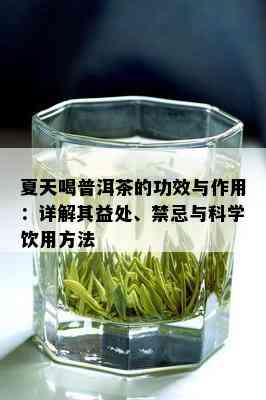 夏天喝普洱茶的功效与作用：详解其益处、禁忌与科学饮用方法