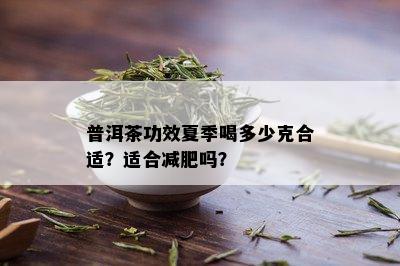 普洱茶功效夏季喝多少克合适？适合减肥吗？