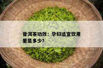 普洱茶功效：孕妇适宜饮用量是多少？