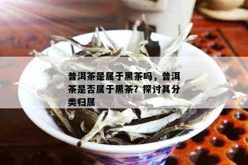 普洱茶是属于黑茶吗，普洱茶是否属于黑茶？探讨其分类归属