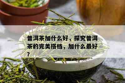 普洱茶加什么好，探究普洱茶的完美搭档，加什么更好？