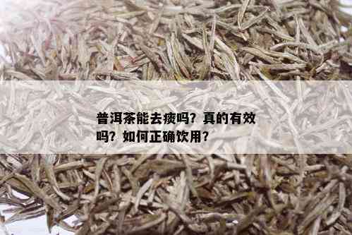 普洱茶能去痰吗？真的有效吗？如何正确饮用？