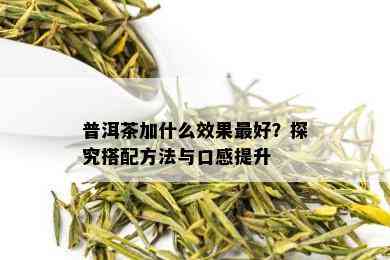 普洱茶加什么效果更好？探究搭配方法与口感提升