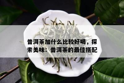 普洱茶加什么比较好喝，探索美味：普洱茶的更佳搭配