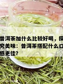 普洱茶加什么比较好喝，探究美味：普洱茶搭配什么口感更佳？