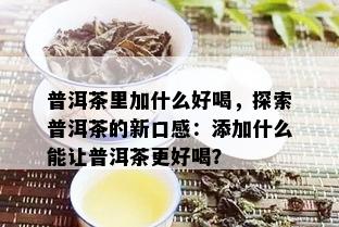 普洱茶里加什么好喝，探索普洱茶的新口感：添加什么能让普洱茶更好喝？