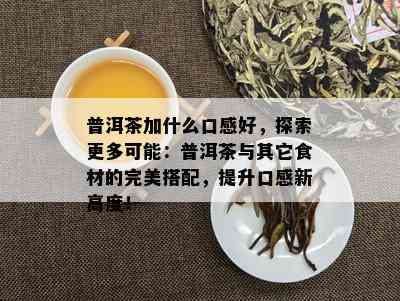 普洱茶加什么口感好，探索更多可能：普洱茶与其它食材的完美搭配，提升口感新高度！