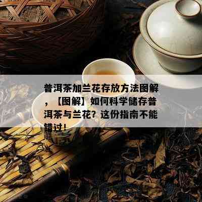 普洱茶加兰花存放方法图解，【图解】如何科学储存普洱茶与兰花？这份指南不能错过！