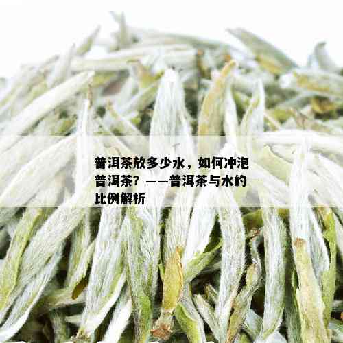 普洱茶放多少水，如何冲泡普洱茶？——普洱茶与水的比例解析