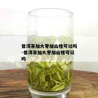 普洱茶加大枣加山楂可以吗-普洱茶加大枣加山楂可以吗