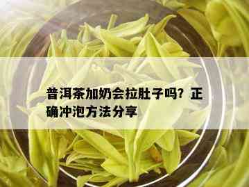 普洱茶加奶会拉肚子吗？正确冲泡方法分享