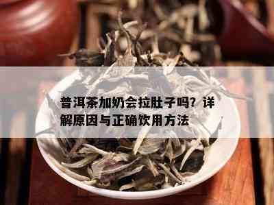 普洱茶加奶会拉肚子吗？详解原因与正确饮用方法