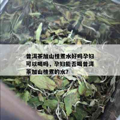 普洱茶加山楂煮水好吗孕妇可以喝吗，孕妇能否喝普洱茶加山楂煮的水？