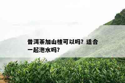 普洱茶加山楂可以吗？适合一起泡水吗？