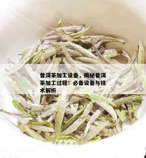 普洱茶加工设备，揭秘普洱茶加工过程：必备设备与技术解析