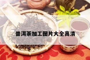 普洱茶加工图片大全高清