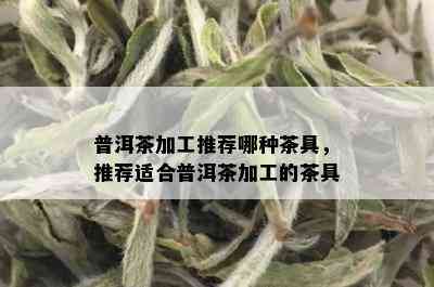 普洱茶加工推荐哪种茶具，推荐适合普洱茶加工的茶具