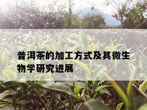 普洱茶的加工方式及其微生物学研究进展