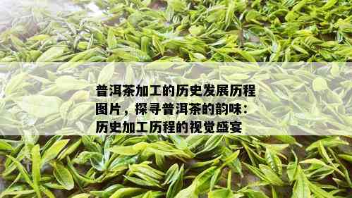 普洱茶加工的历史发展历程图片，探寻普洱茶的韵味：历史加工历程的视觉盛宴