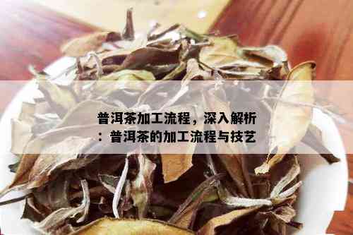 普洱茶加工流程，深入解析：普洱茶的加工流程与技艺