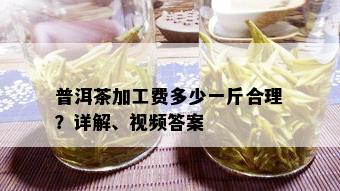 普洱茶加工费多少一斤合理？详解、视频答案