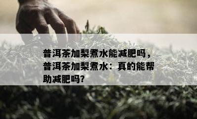 普洱茶加梨煮水能减肥吗，普洱茶加梨煮水：真的能帮助减肥吗？