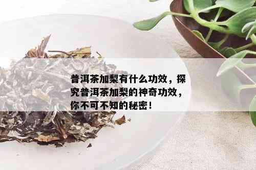 普洱茶加梨有什么功效，探究普洱茶加梨的神奇功效，你不可不知的秘密！