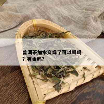 普洱茶加水变绿了可以喝吗？有吗？