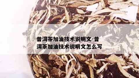 普洱茶加油技术说明文-普洱茶加油技术说明文怎么写