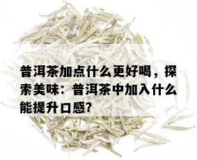 普洱茶加点什么更好喝，探索美味：普洱茶中加入什么能提升口感？