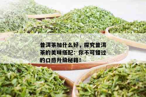 普洱茶加什么好，探究普洱茶的美味搭配：你不可错过的口感升级秘籍！